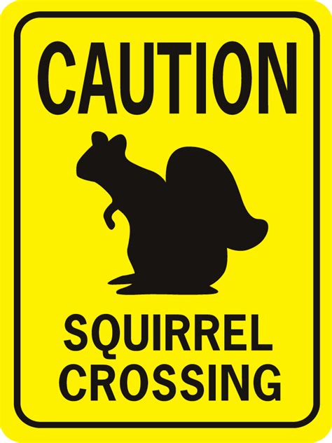 Curs eof the squirrel
